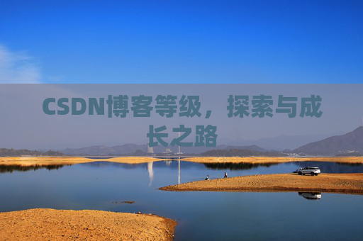 CSDN博客等级，探索与成长之路